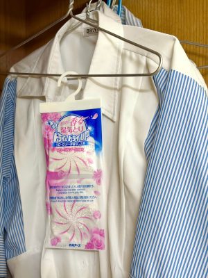 Gói 4 túi chống ẩm mốc và làm thơm tủ quần áo hương hoa hồng Hakugen (dạng treo, 1 túi 2 ngăn)